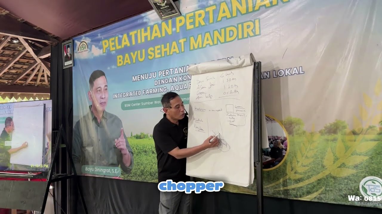 Cara Membuat 'Sawah Palsu' di Lahan Tandus: Solusi Sayur Organik Melimpah Ruah