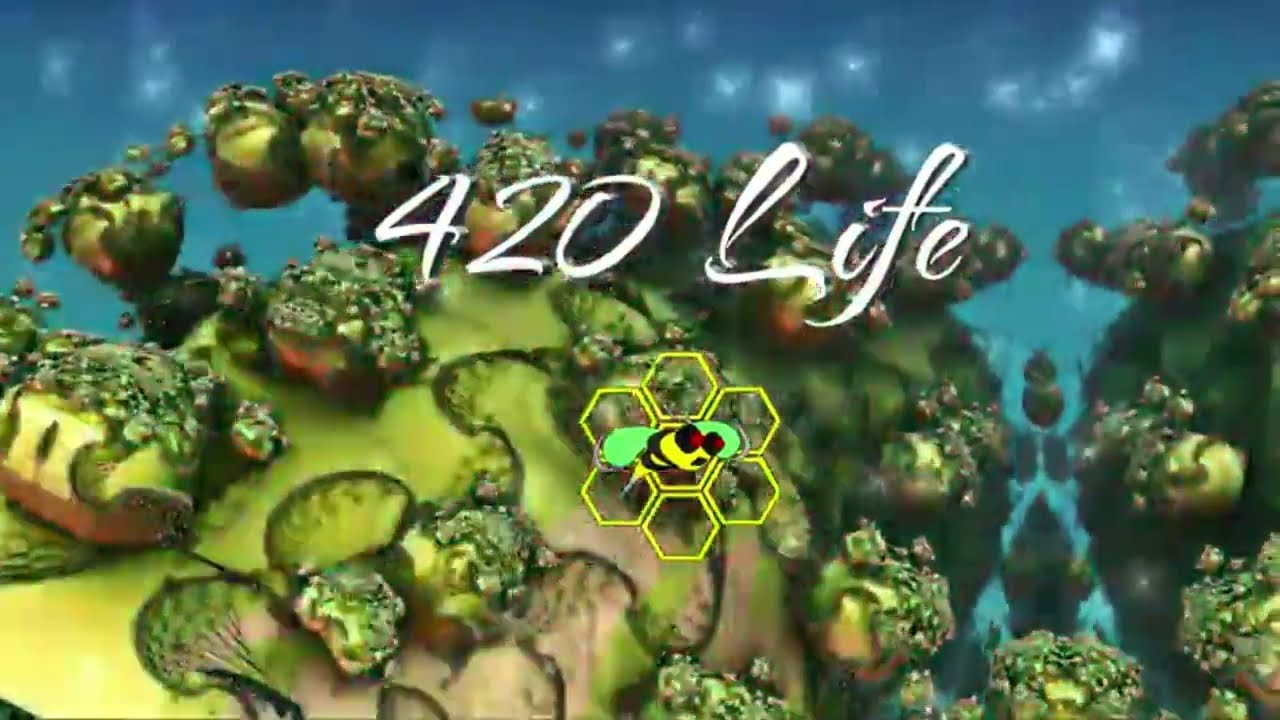 Dab Star Pro 3 in 1 eNail, Dab Pen and Nectar Collector Setup & Demo Video   Made with Clipchamp