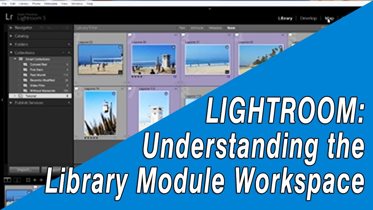 Lightroom Beginners Tutorial: Library Module Workspace