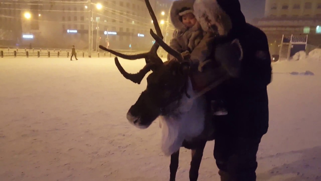 Christmas holiday fun, Yakutsk (Siberia)