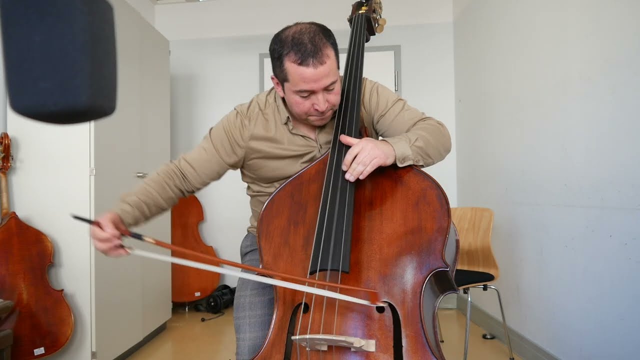 Vaňhal, J.K., Double bass concerto, 1st. movement