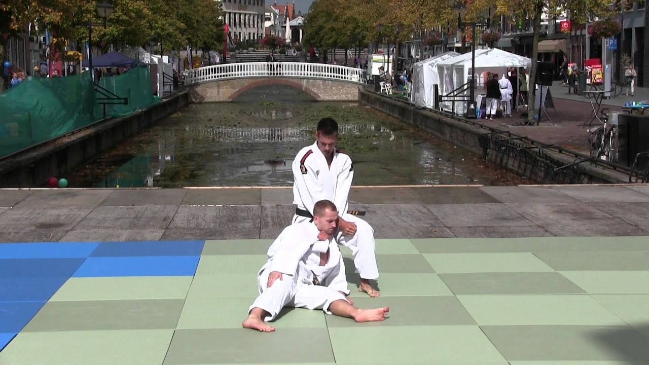 Judo Demo 2015