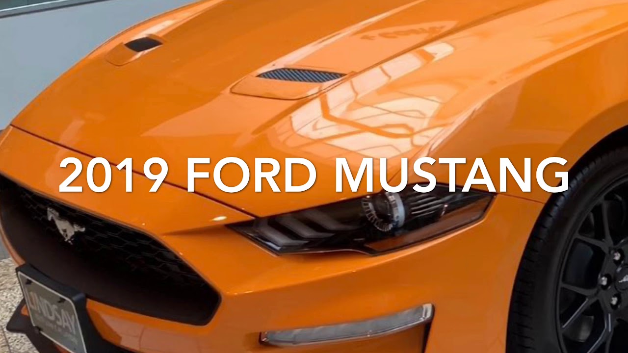 2019 Ford Mustang walk around