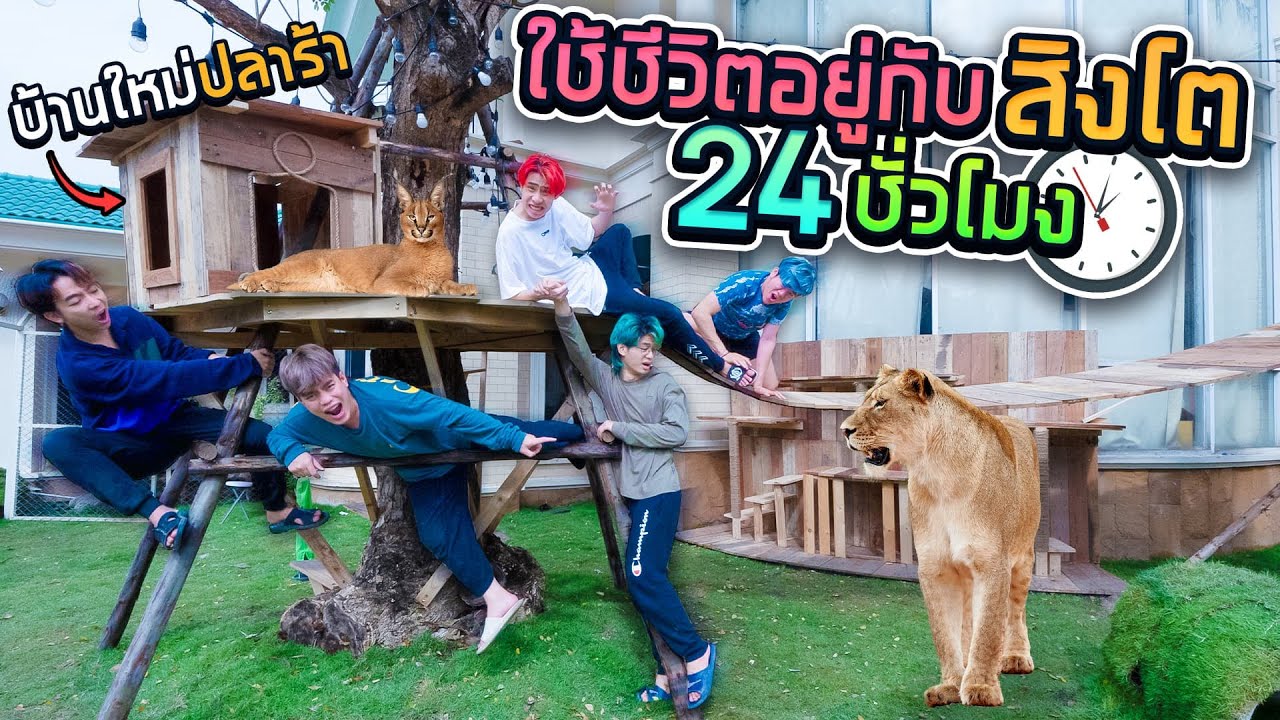 Заставьте своих друзей просидеть в «львиной» клетке 24 часа!! (SPD)