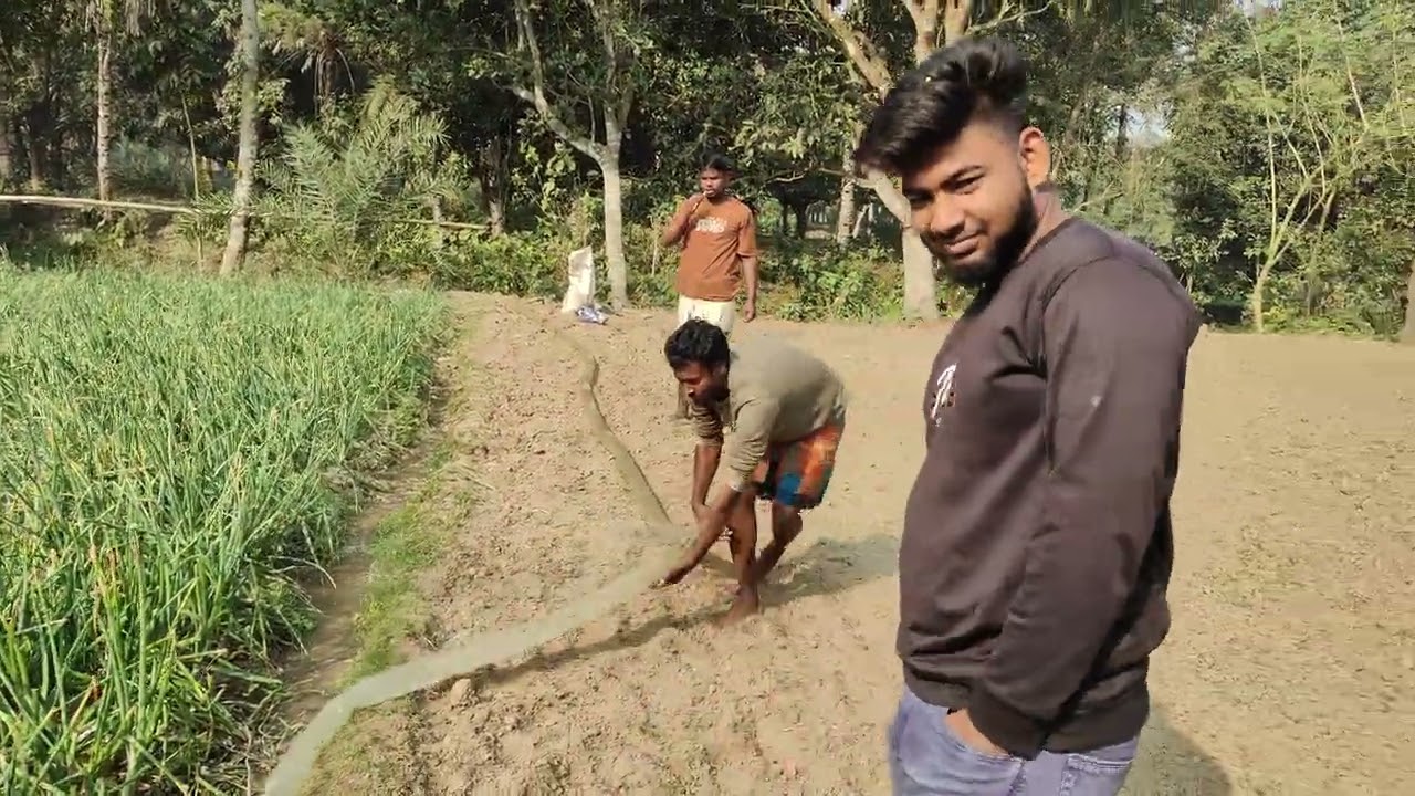 আজকের ভিডিওতে দেখানো হলো পিয়াজের চারা/বীজতলায় সঠিক নিয়মে পানি দেওয়া 🌱💧#foryou #food 