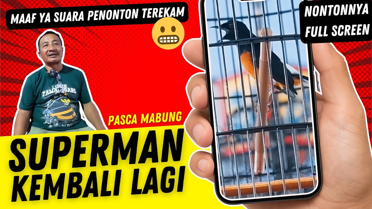 MURAI 1 MILYAR ‼️ SUPERMAN KEMBALI Setelah Mabung Begini