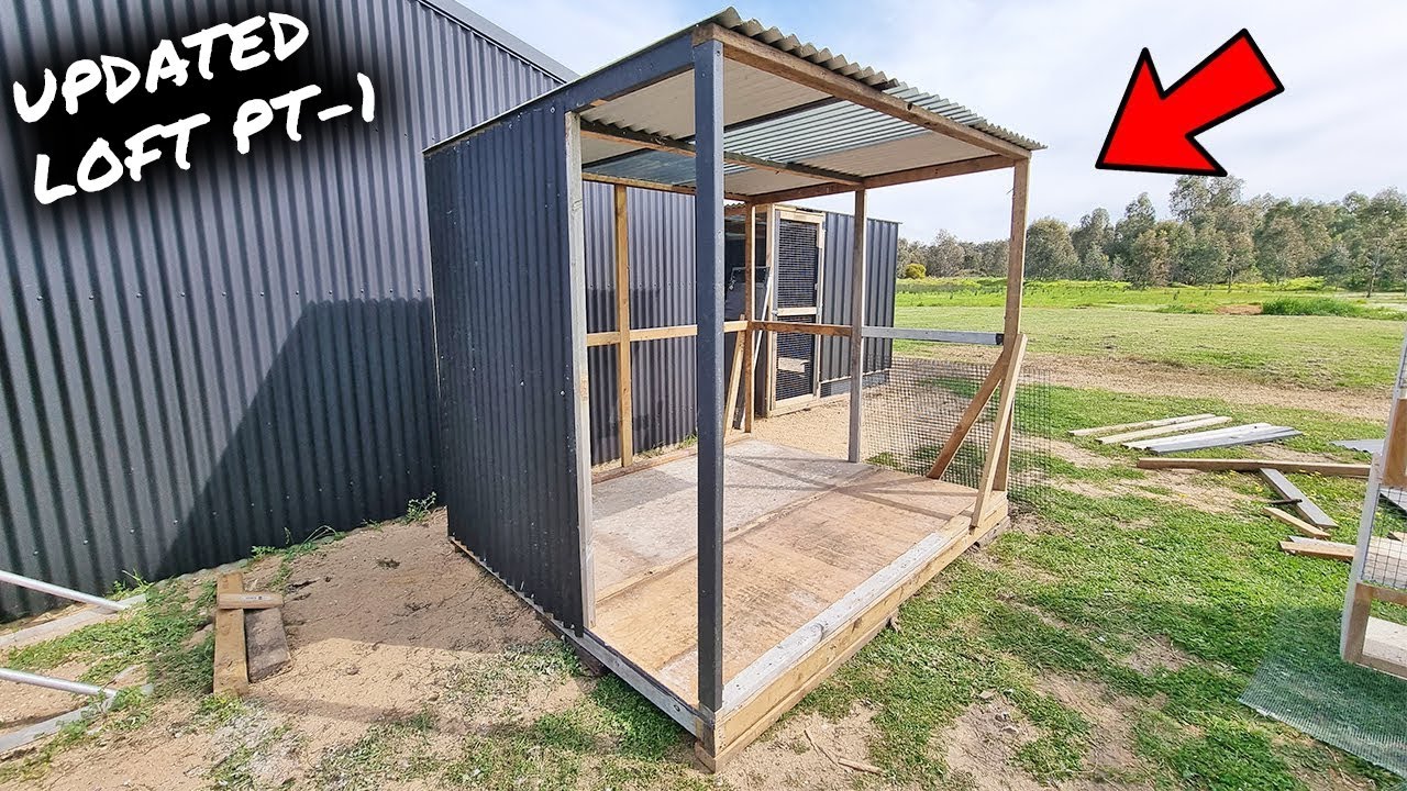 NEW BREEDING LOFT BUILD