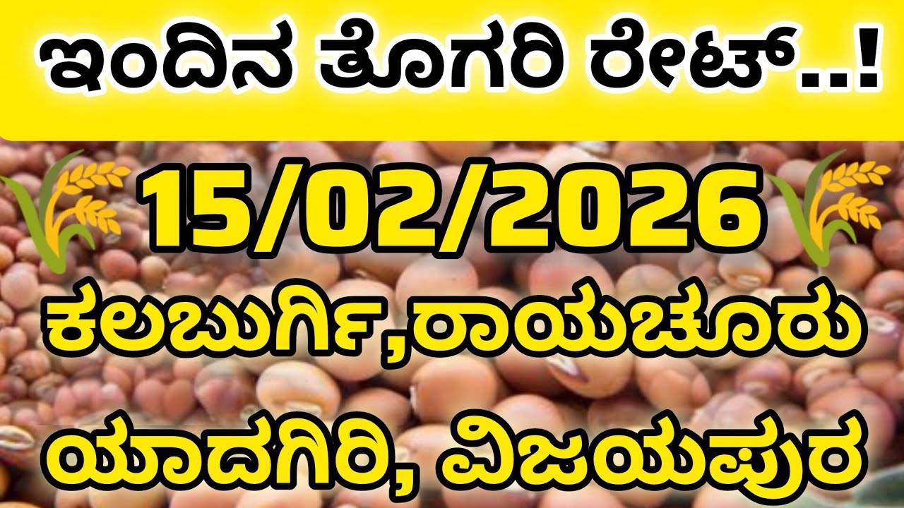 ಇಂದಿನ ತೊಗರಿ ರೇಟ್ ರಾಯಚೂರು l ಯಾವ ಜಿಲ್ಲೆಗಳಲ್ಲಿ ರೇಟ್ ಎಷ್ಟು ನೋಡಿ l 2026#apmc #kalaburagi #market #togari