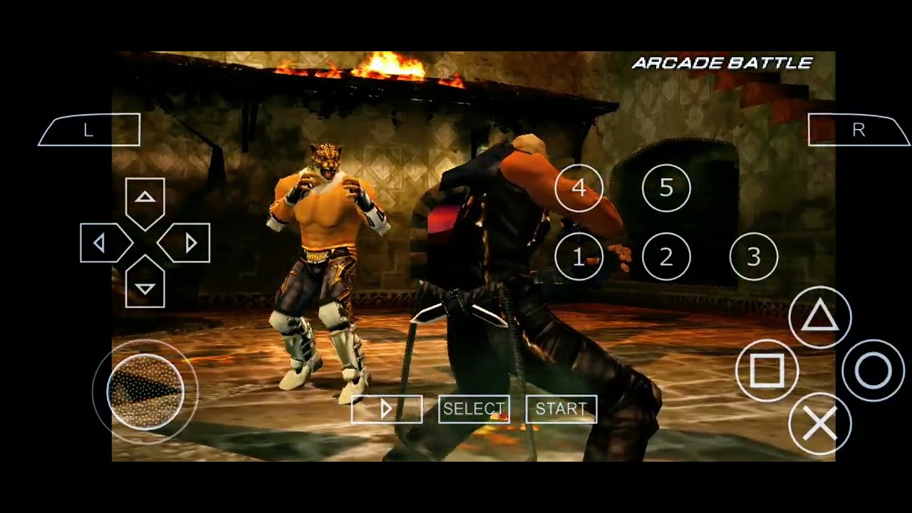 King vs Raven
