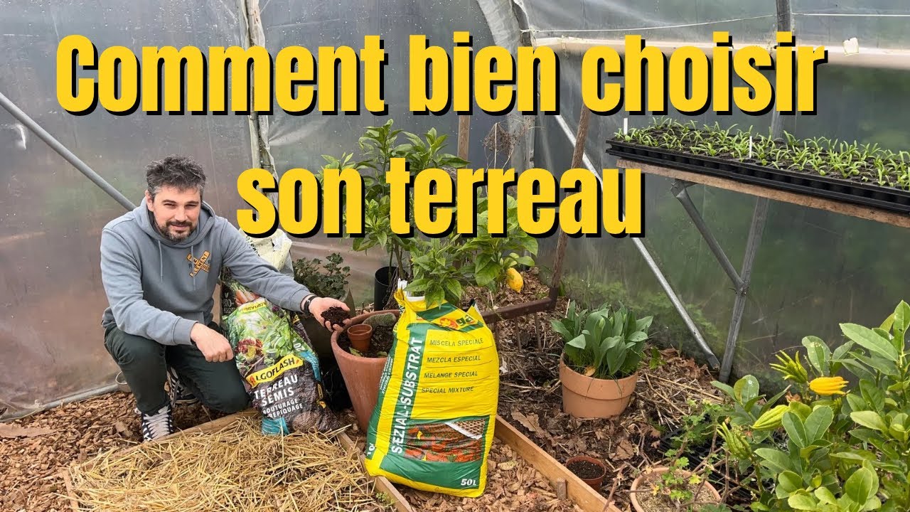 Quel terreau choisir ? 