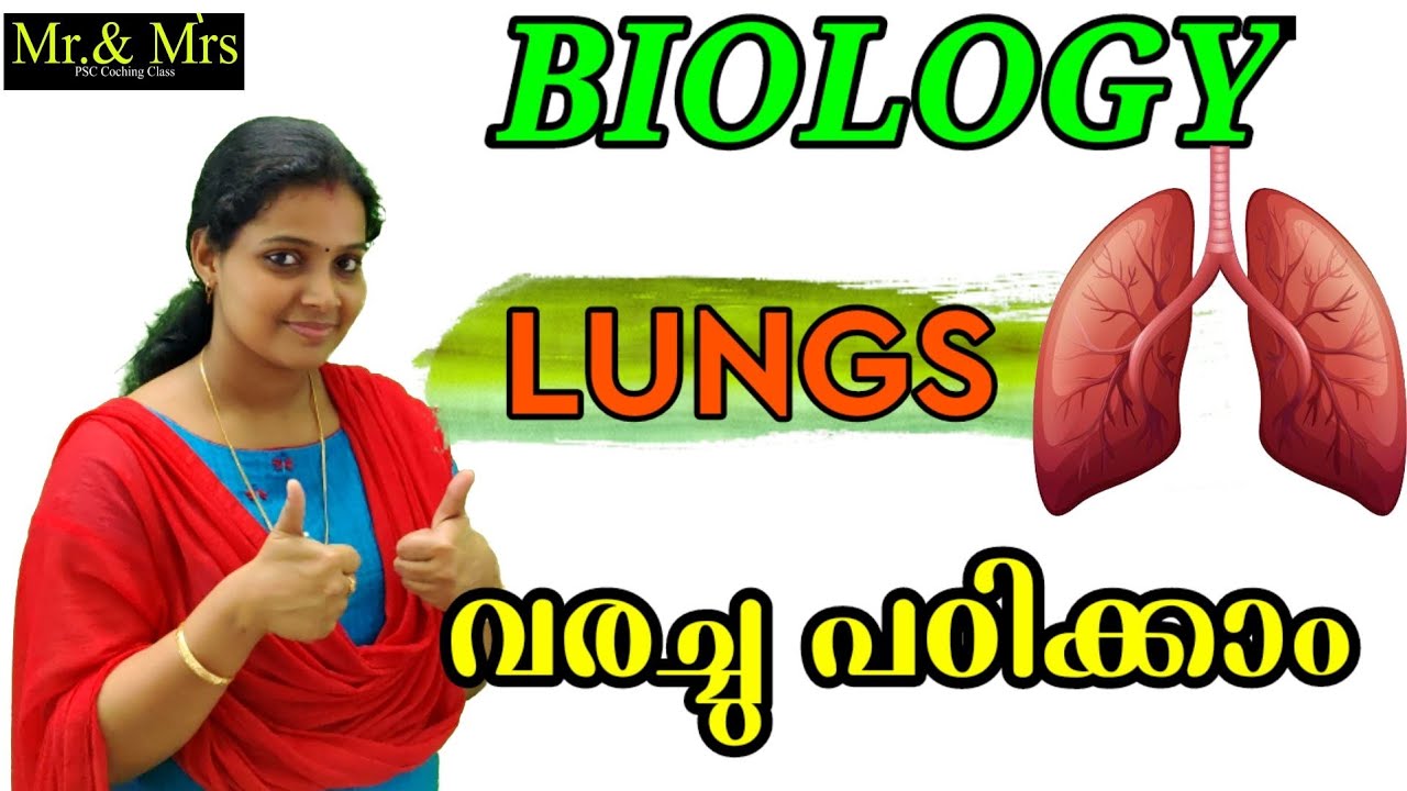 Biology / Lungs  ( ശ്വാസകോശം ) . വരച്ചു പഠിക്കാം. ഇനിയൊരിക്കലും മറക്കില്ല