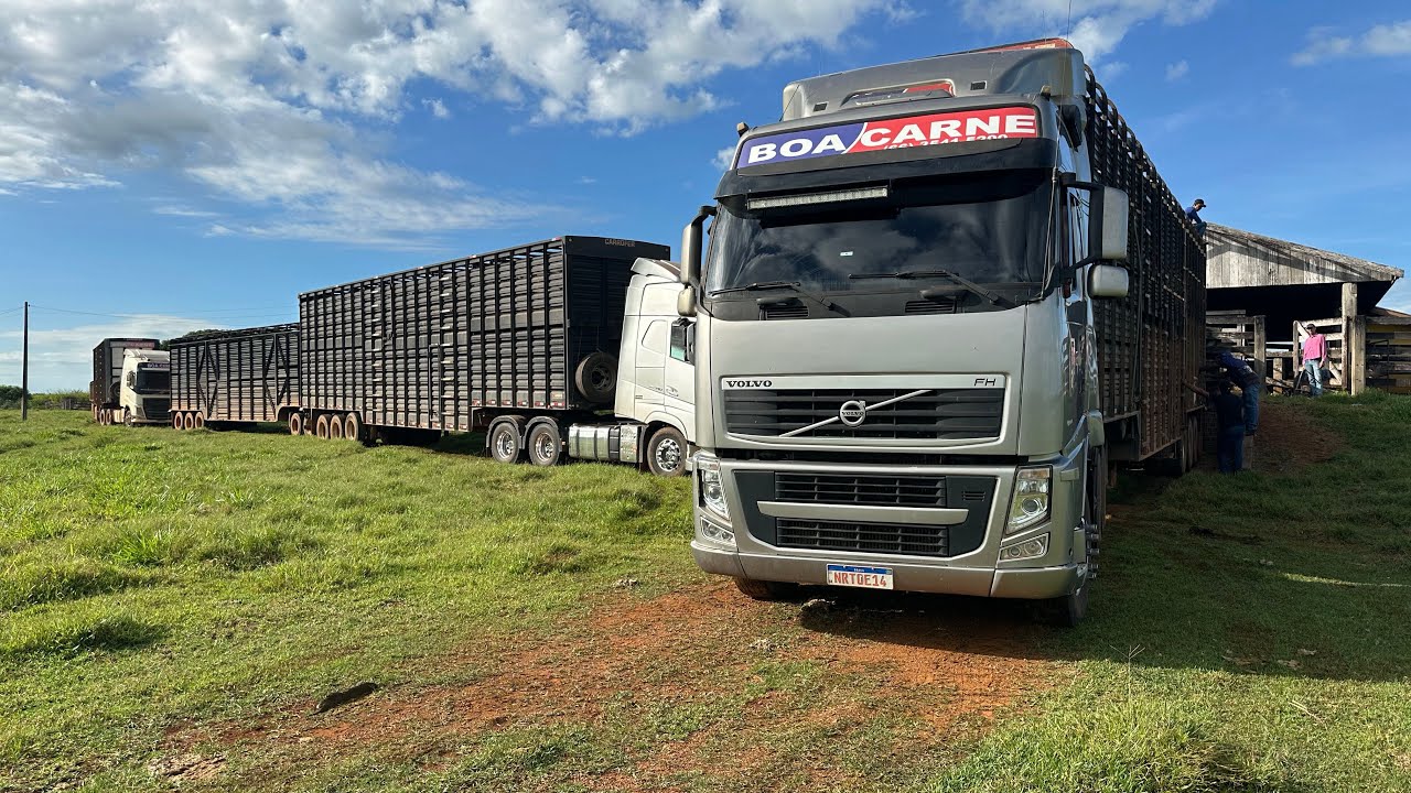 CARREGAMENTO NA FAZENDA TAQUARUÇU. EM BUSCA DO FRIGORÍFICO!!!!