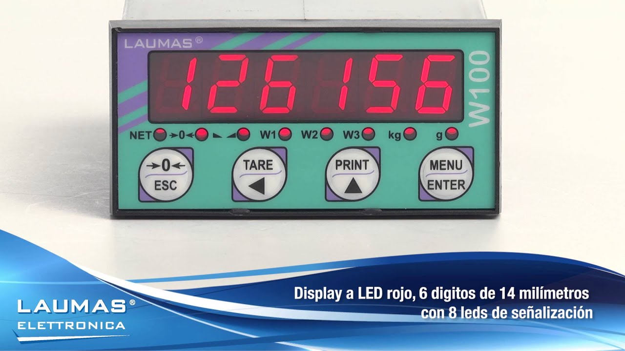W100 - indicadores de peso para montaje en panel - LAUMAS