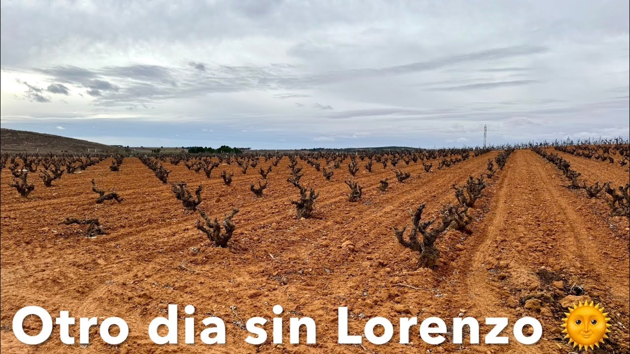 16 Camino de la Lana. Etapa 7. Alatoz -Casas Ibañez 31,2 Km. Ene-2026