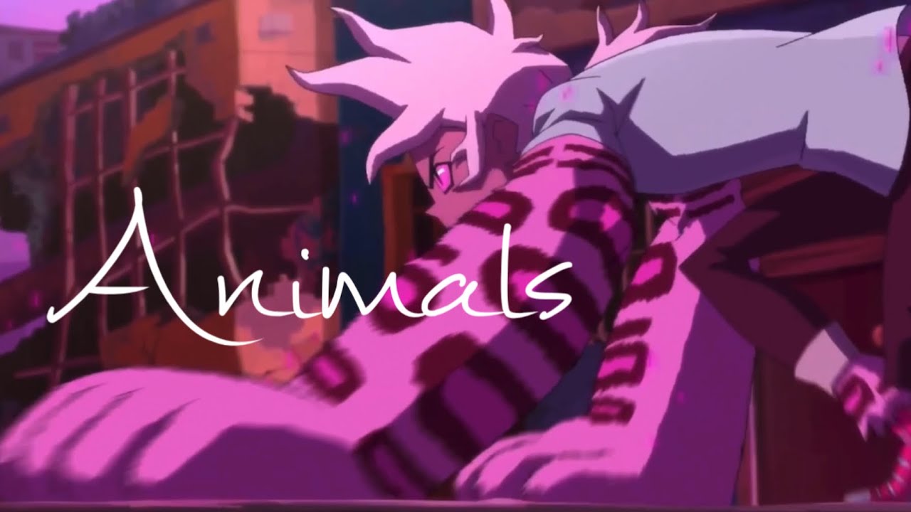 Animals &bull; KIPO AMV