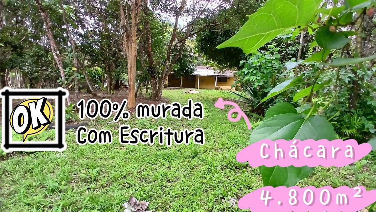 Chácara em Itanhaém com 4.800m² toda murada. Preço imperdível. Venha ver!!