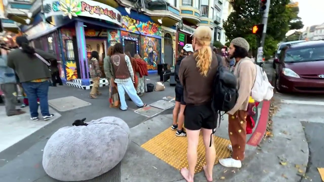 🥀🕯 Haight-Ashbury & Buena Vista Park 🌹 Rest in Peace Bob Weir (1947 - 2026) 🕯🥀