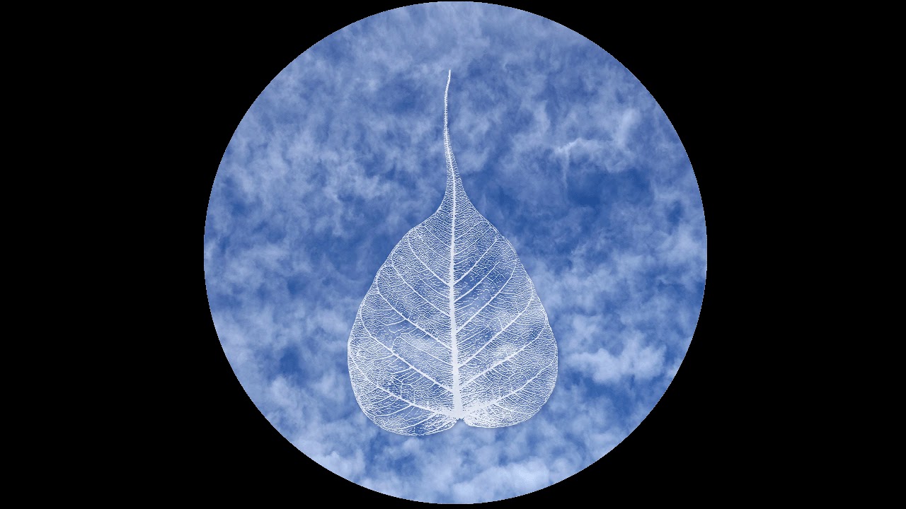 180824 From a Place of Peace & Wellbeing \ \ Thanissaro Bhikkhu \ \ Short Dhamma Talk