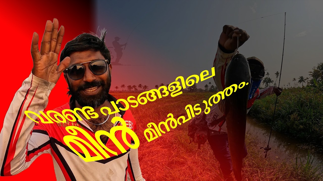 FISH: വരണ്ട പാടങ്ങളിലെ മീൻ മീൻപിടുത്തം.#fish #fishing