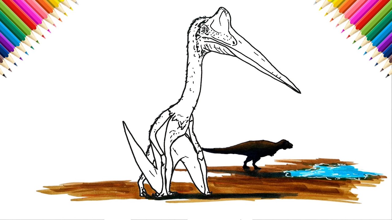 How to Draw Quetzalcoatlus | Drawing and Coloring