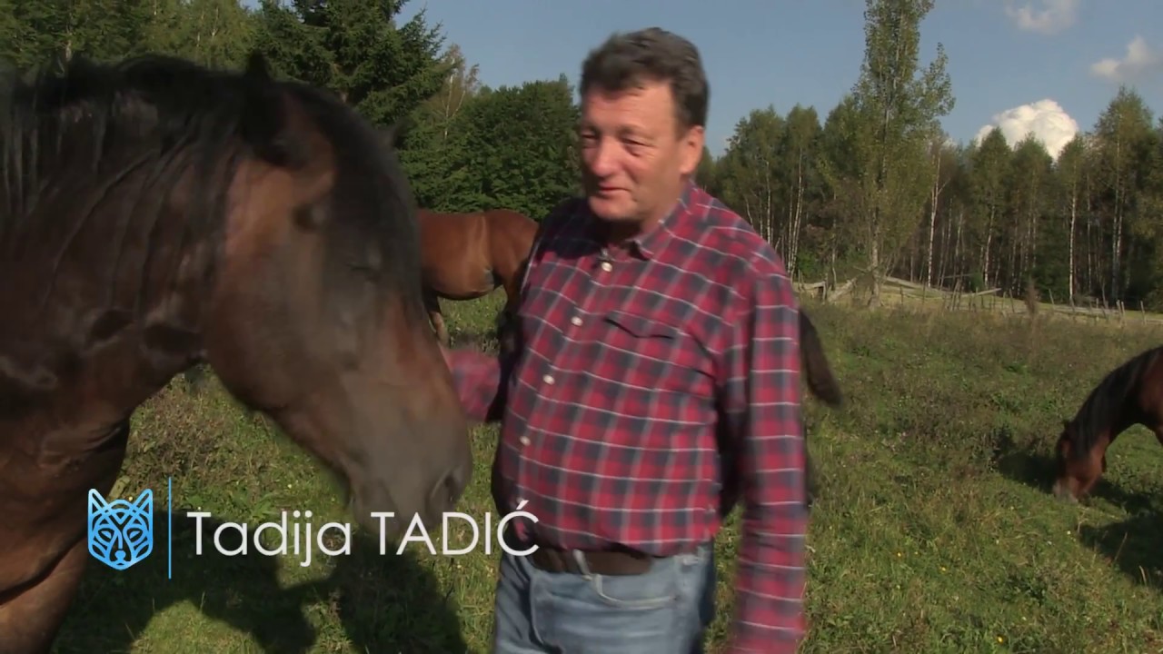 TADIJA TADIC