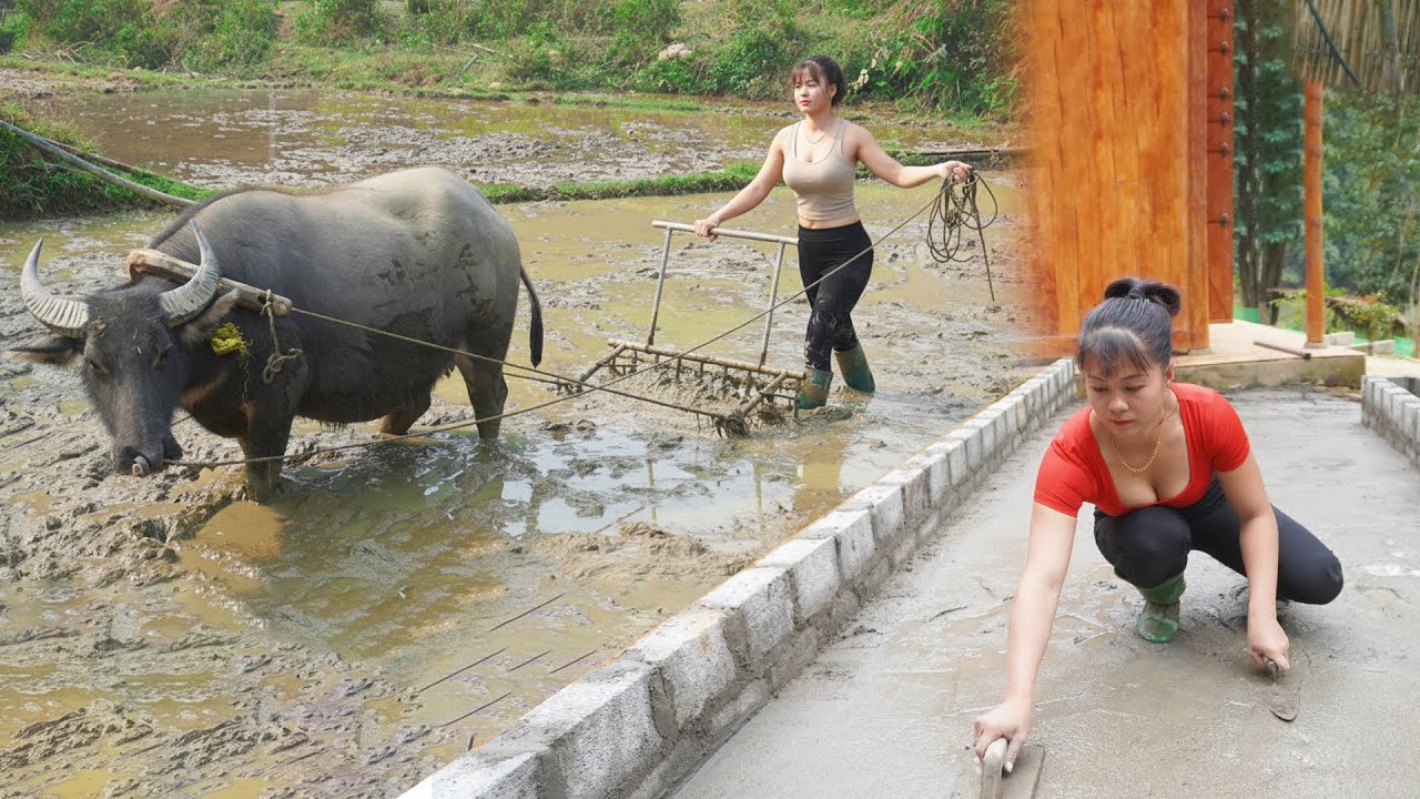 CEO Girl Left the City for the Forest -- Build Brick Gate, Concrete Road - Wet Rice Agriculture