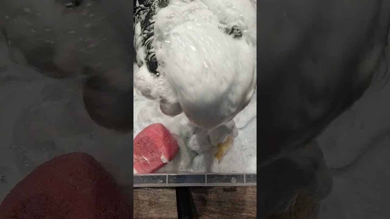 ##asmr #satisfying #foam #sound #suds #crunchy #crisp #frothy #fluffy #squeeze #fizzysuds 