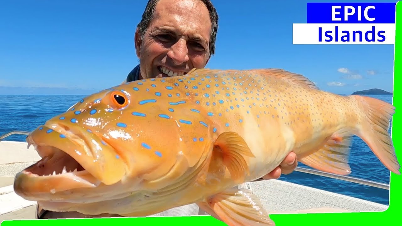 2 day Solo boat camping - Tropical islands - Catch and cook - Best trip ever! - EP.556