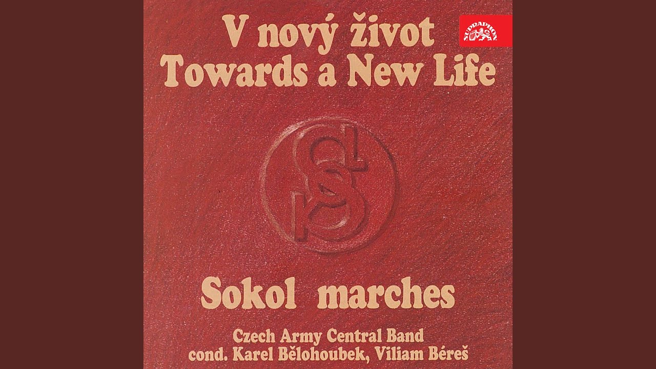 Jdou, sokolské šiky, jdou
