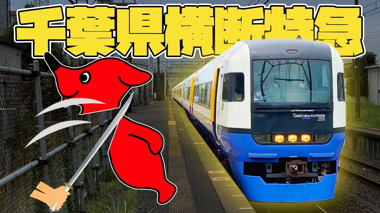 千葉県横断特急を乗り通してみた！【しおさい】
