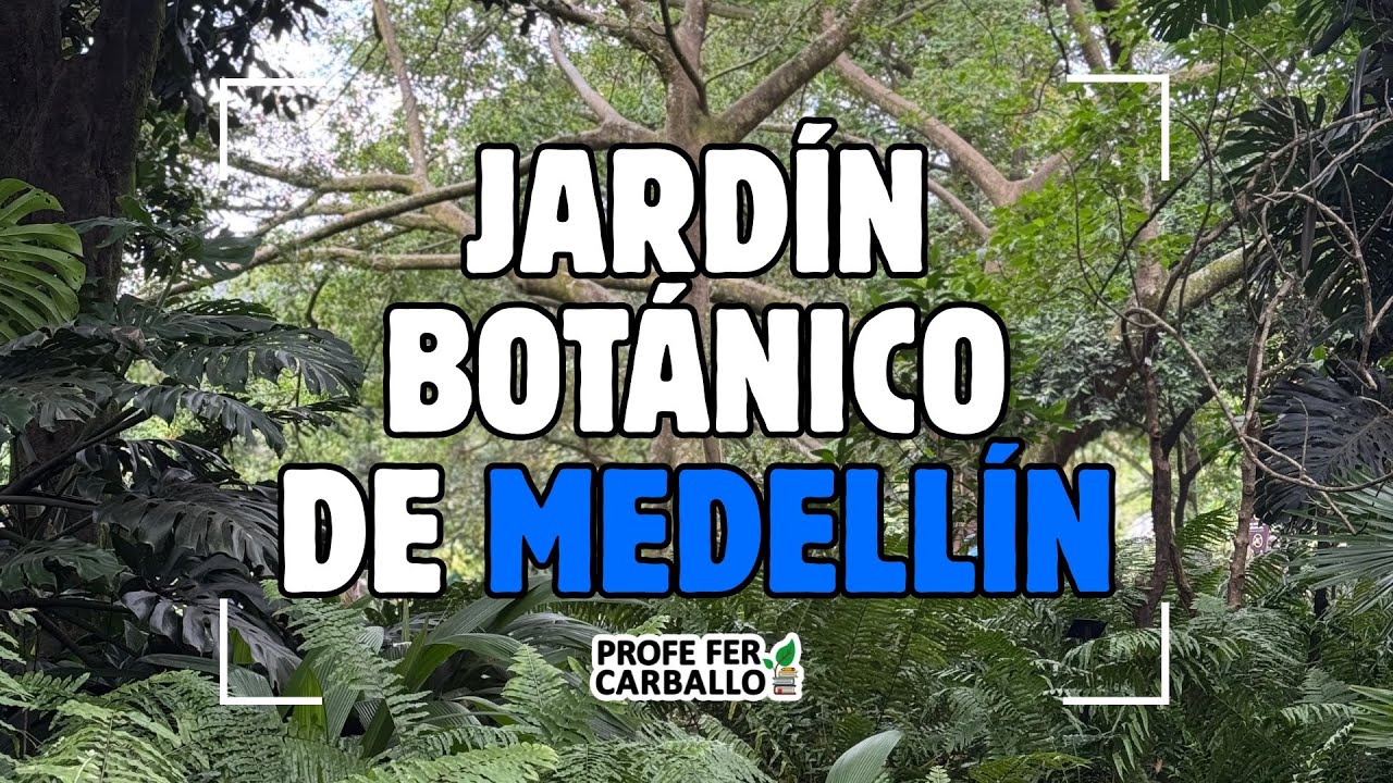 Descubre el Jardín Botánico de Medellín 