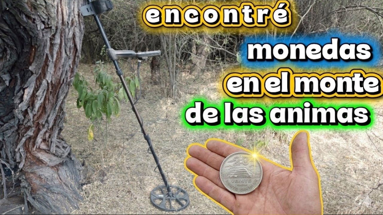 SACANDO entre el MONTE los 20 CENTAVOS de la PIRÁMIDE 