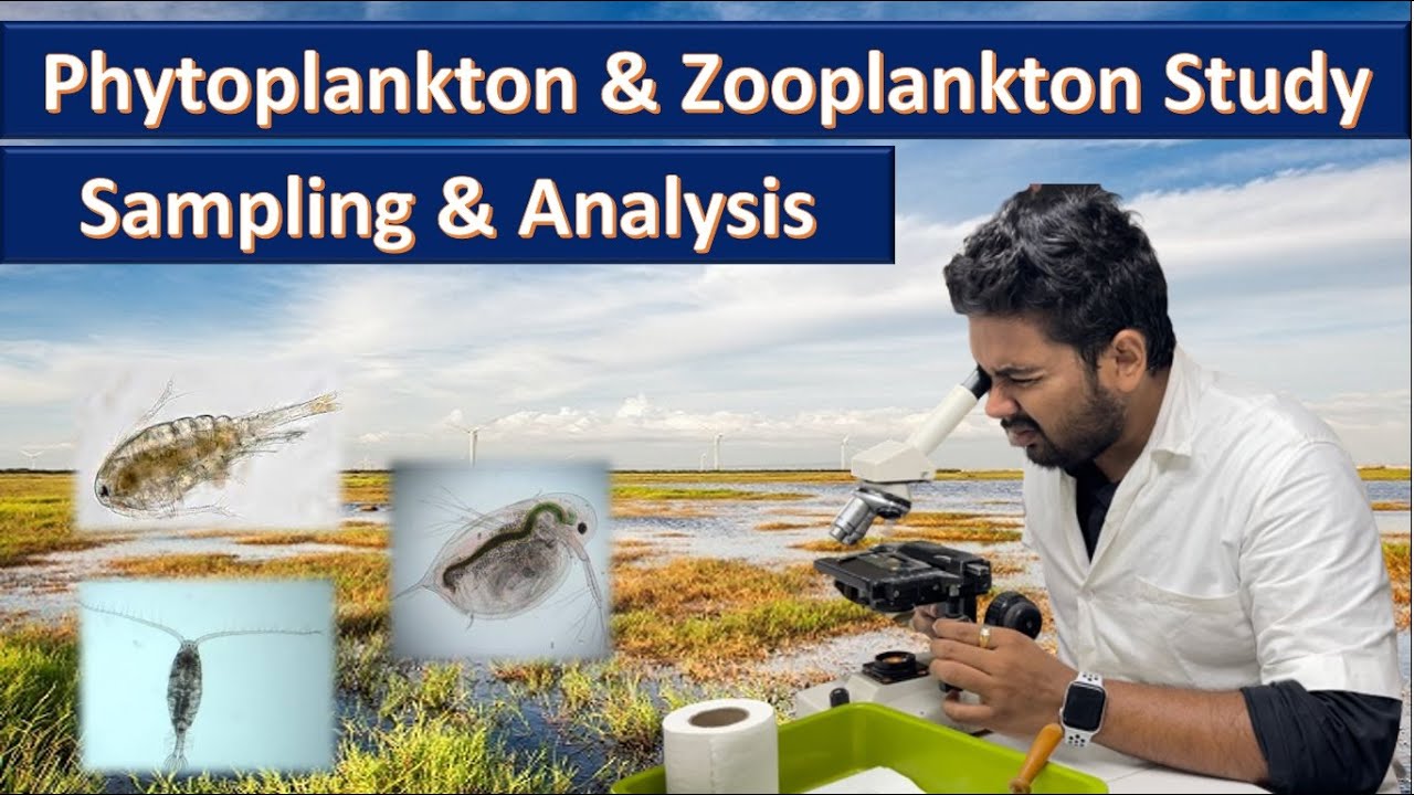 Phytoplankton and zooplankton study |sampling and analysis | 2022