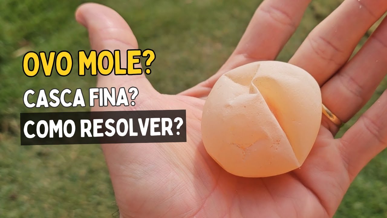 POR QUE A GALINHA BOTA OVO MOLE  COM A CASCA FINA
