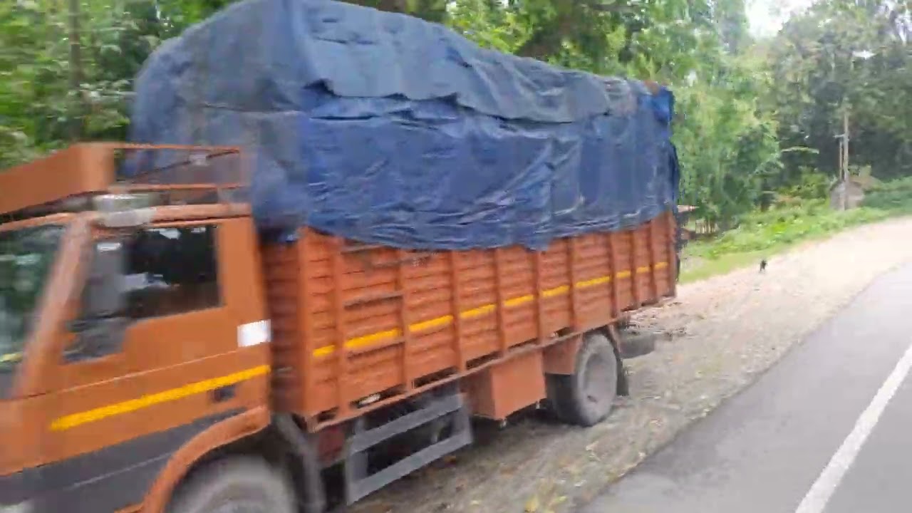 #Hasimara jungle#हासीमारा जंगल#Mahesh k Singh