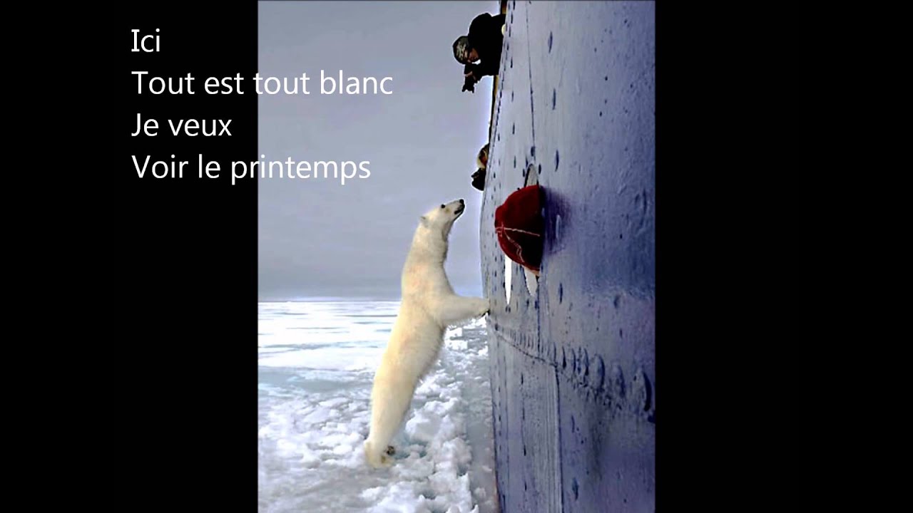 Chanson pour enfants - Le petit ours blanc - Jason Levêque