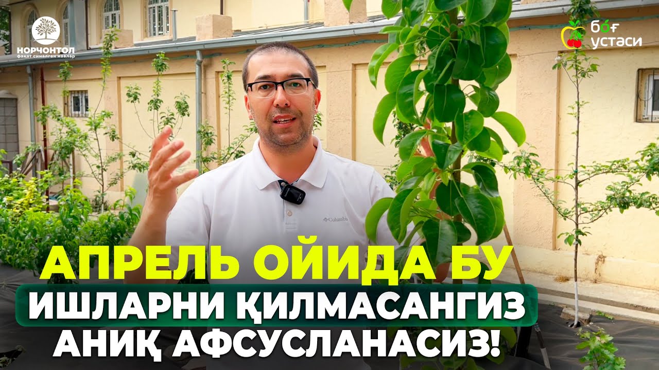 ЧИЛПИШ, ЎҒИТЛАШ, СУҒОРИШ – КЕЛИНГ БИРГАЛИКДА КЎРИБ ЧИҚАМИЗ! | ШУҲРАТ АБРОРОВ #sugorish #ogitlash #uz