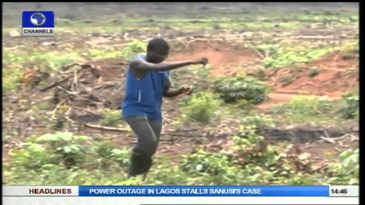 Earthfile: Achieving Food Security And Fighting Off Land Grabbers. Pt2