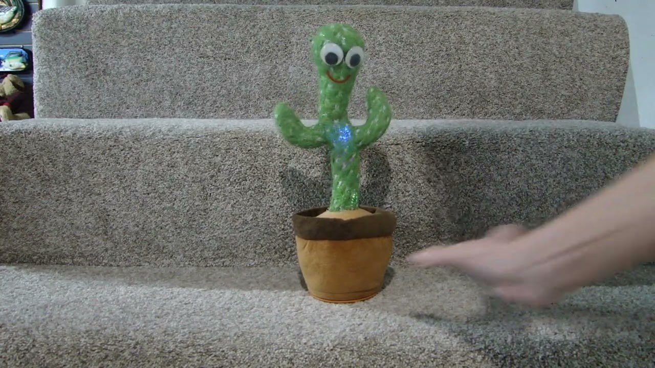 Legendary TikTok Cactus With Coke Addiction (Featuring NO Button)
