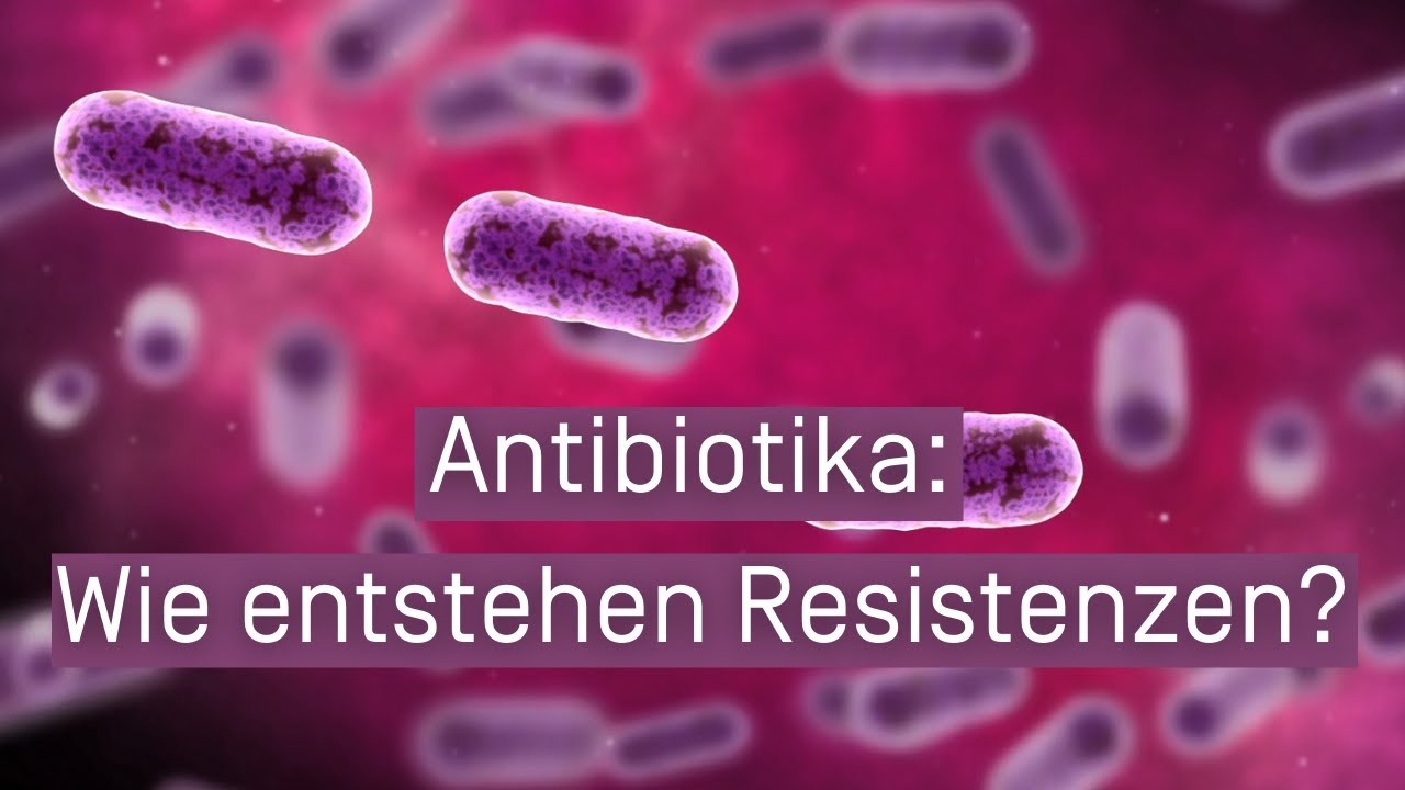 Antibiotika: Wie entstehen Resistenzen?