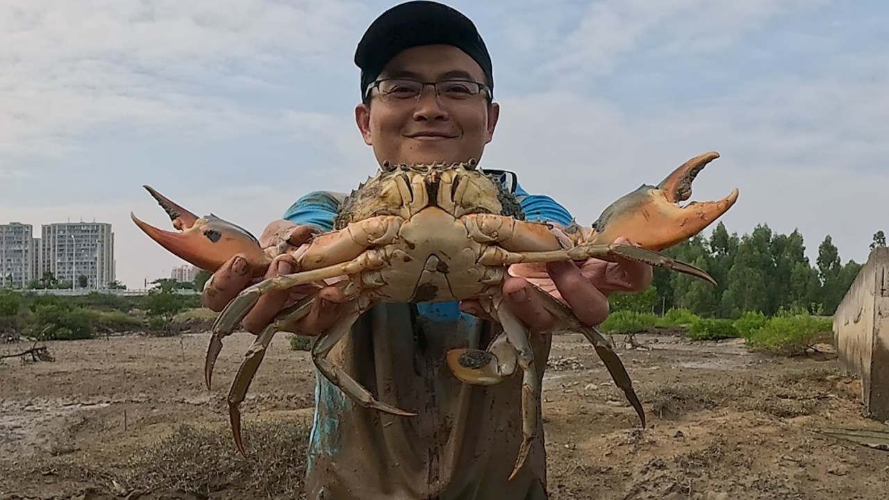 发现螃蟹养殖场被拆迁，渔夫赶过去发财，大青蟹抓的真过瘾