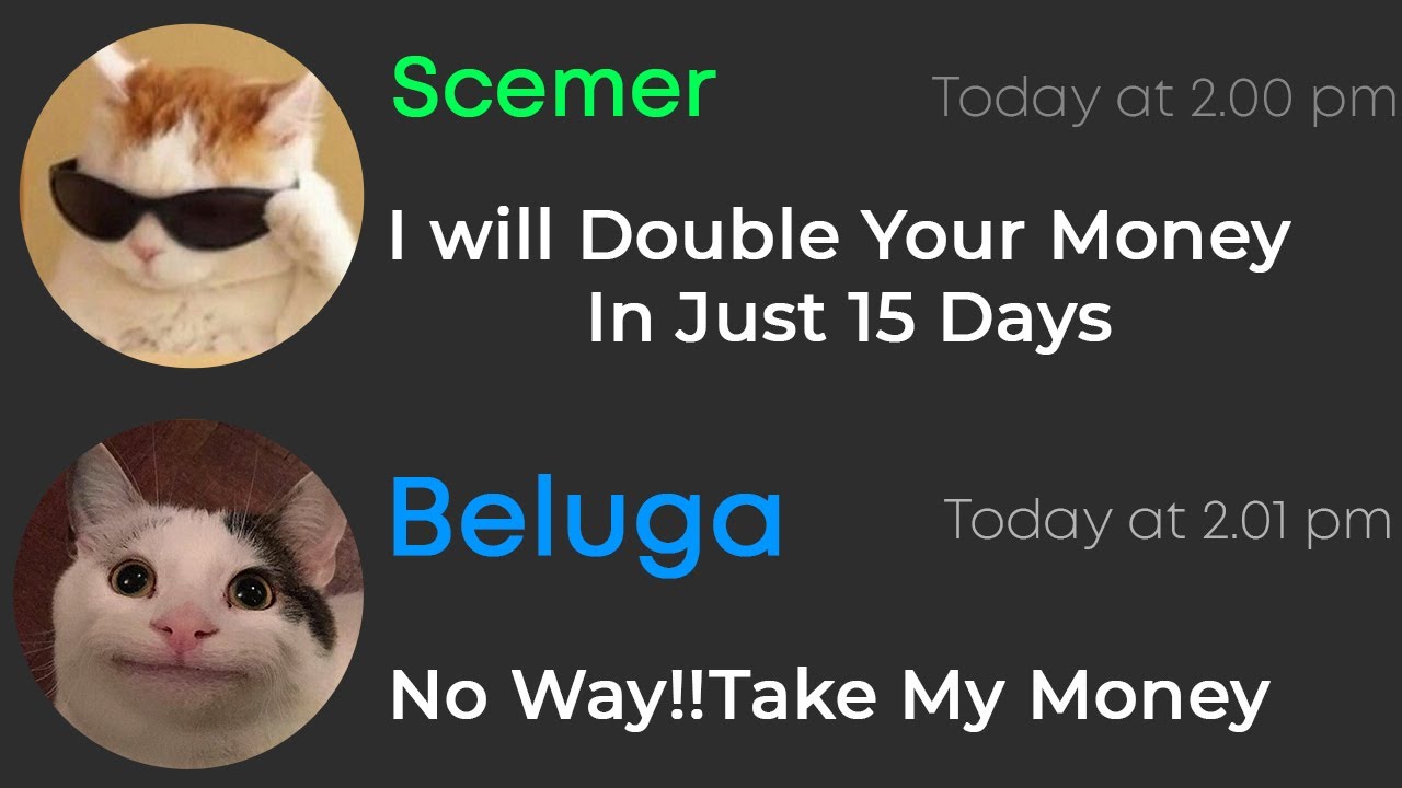 When Scemer Scams Beluga(97.4% Intense)