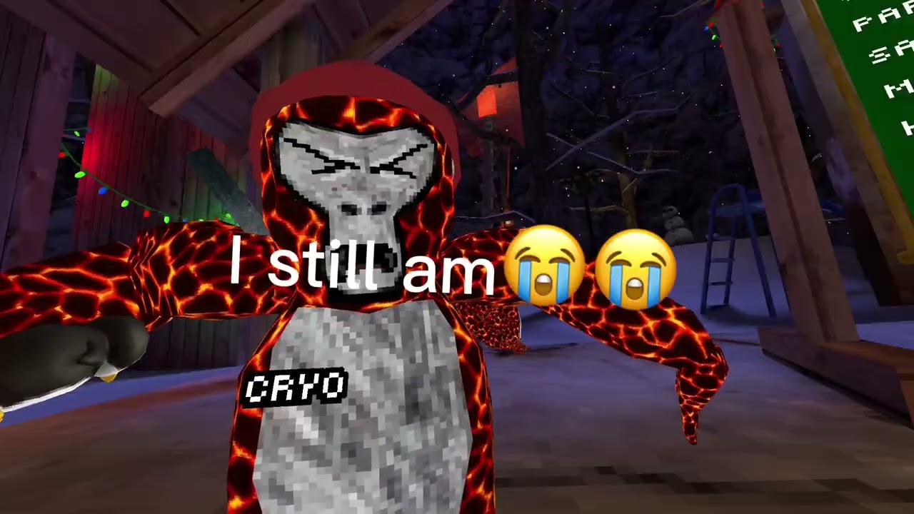 Playing gorilla tag (infection)
