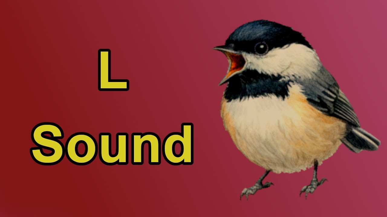 The L Sound Sonnet | Phonemic Awareness Poetry