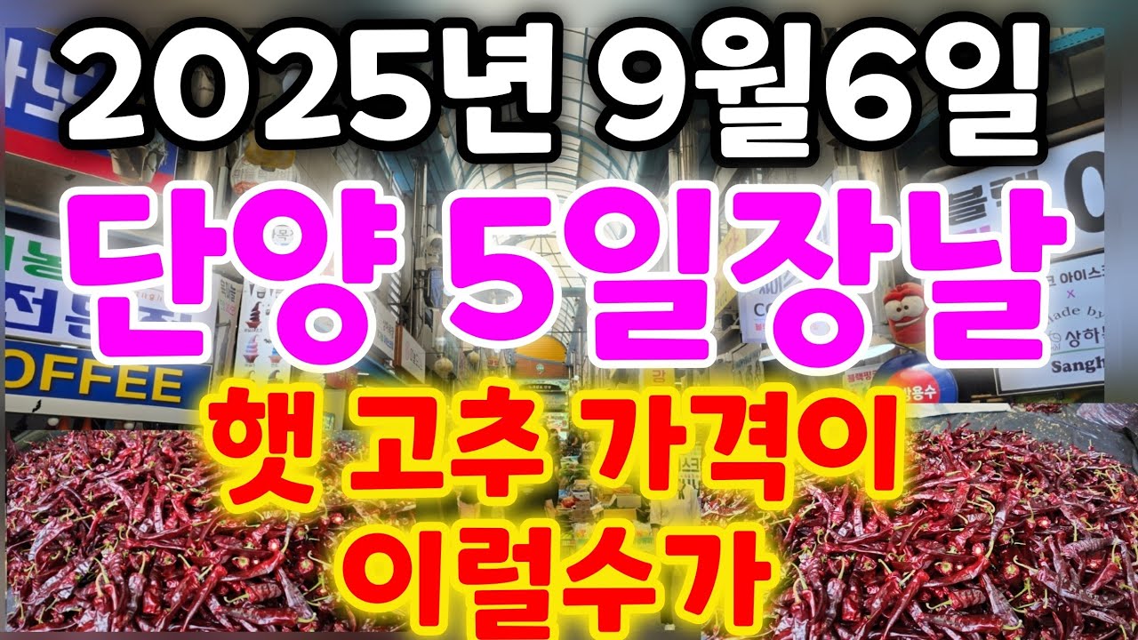 충북 단양읍 5일장날  햇 고추 🌶 한근 시세는 얼마나 할까요?