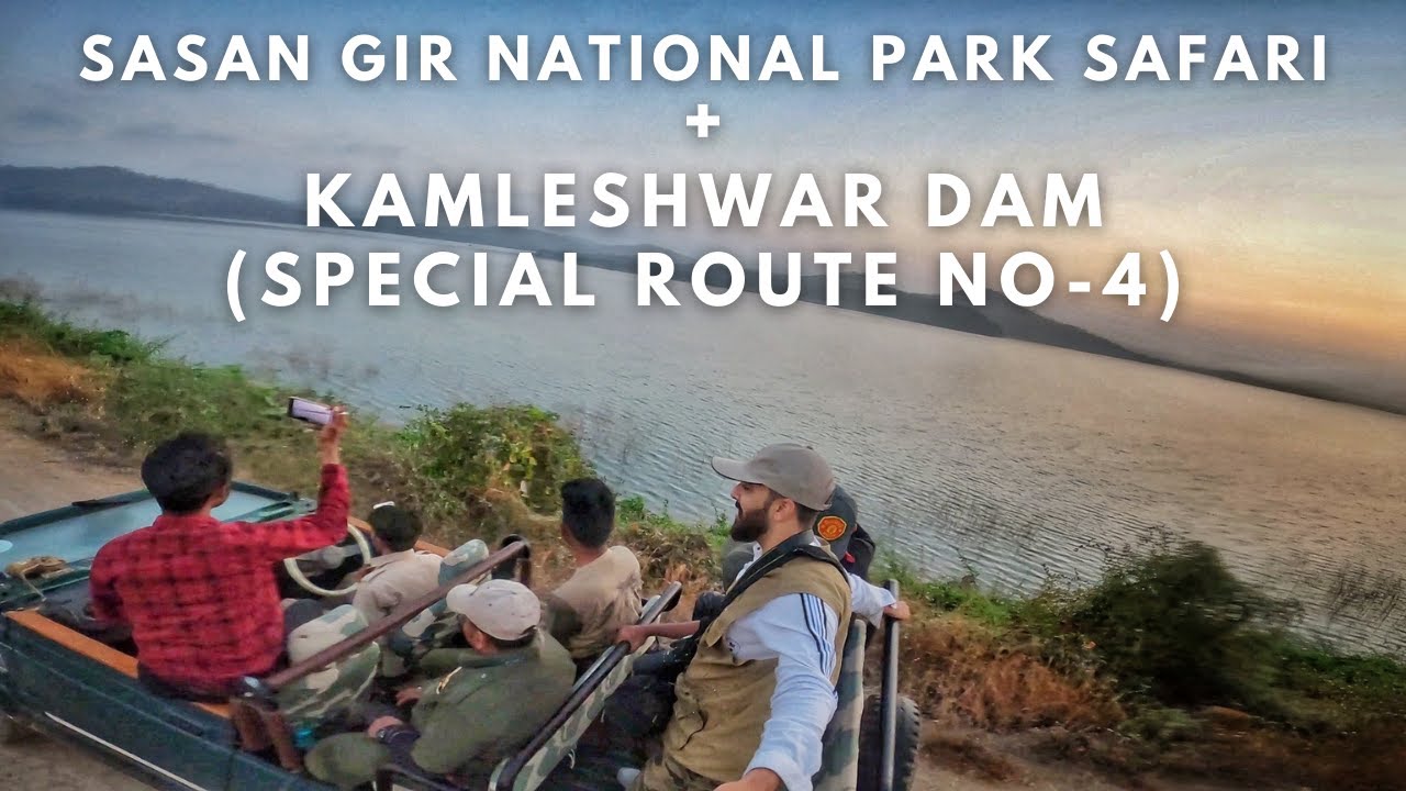 Route no 4 , Sasan Gir Early Morning Safari | Kamleshwar Dam | gir national park vlog