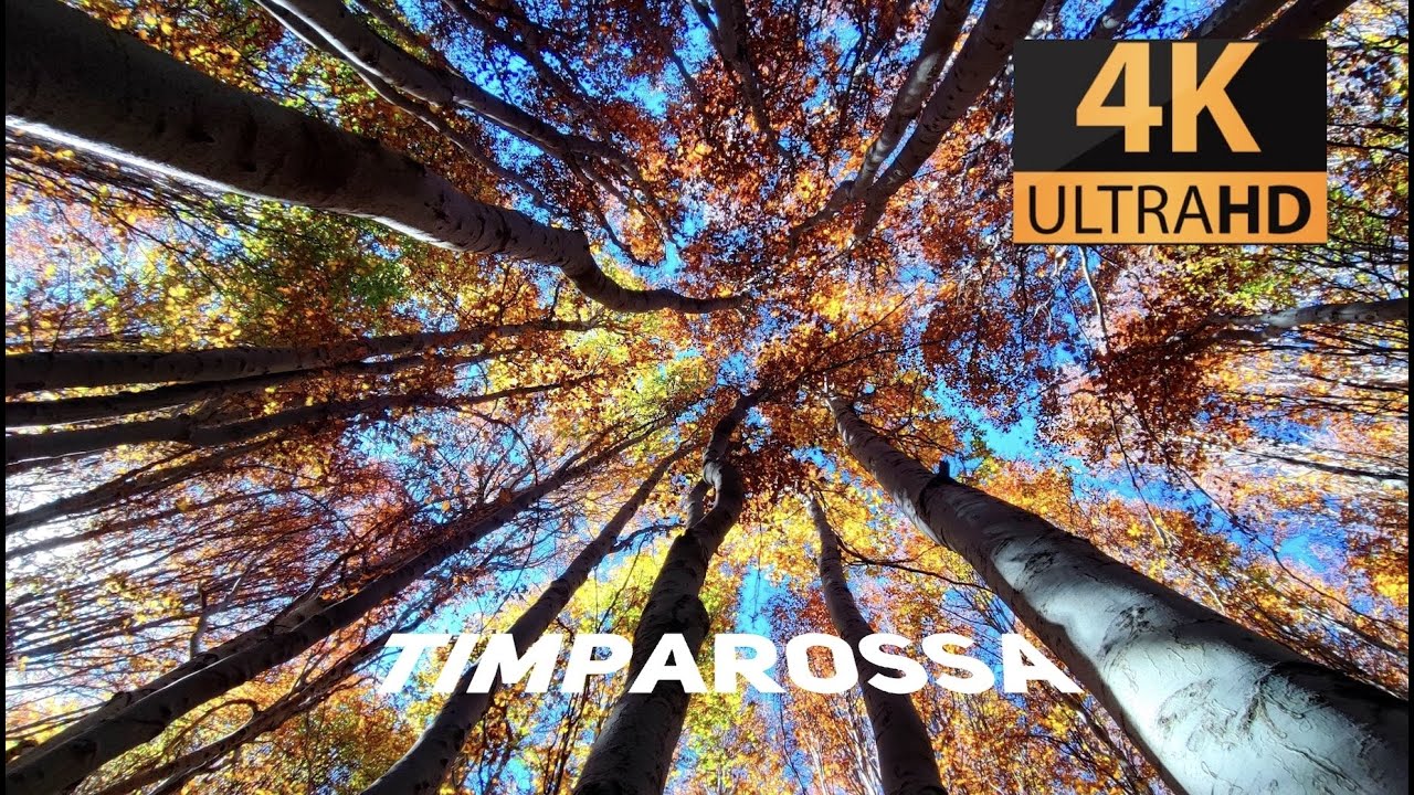 TIMPAROSSA AUTUNNO 2022  #Etna Foliage 4k