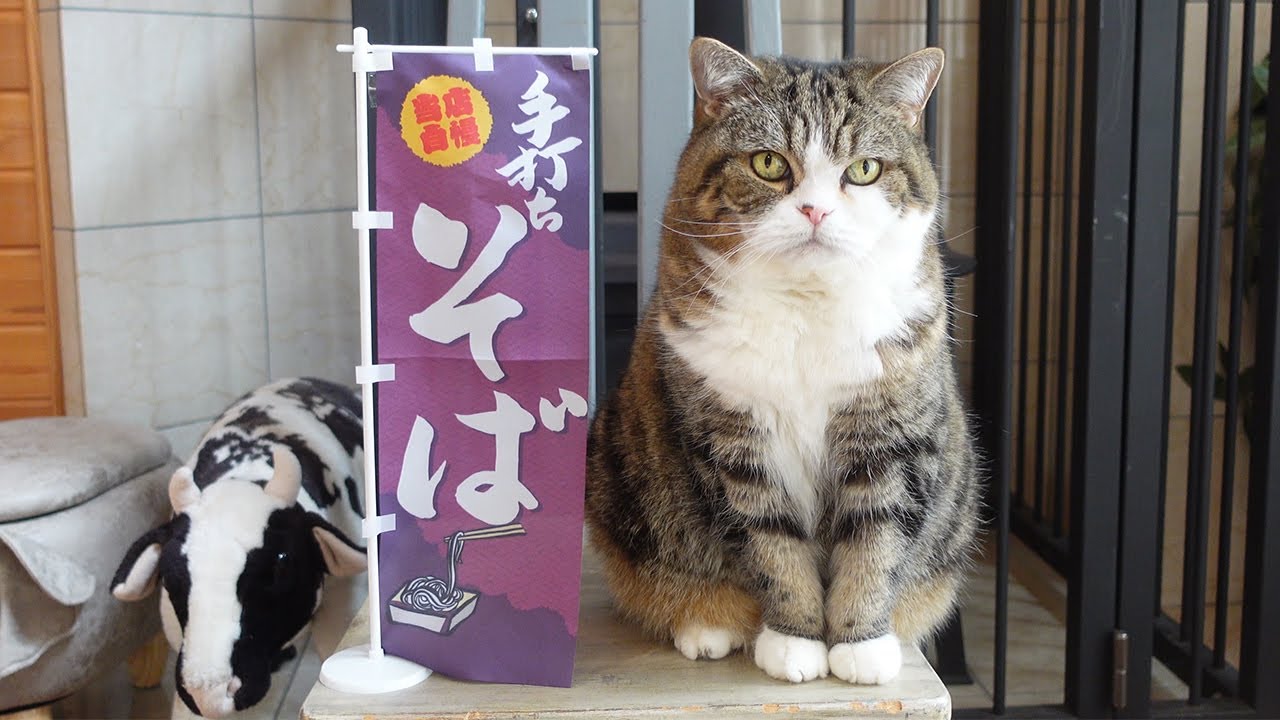 1日限定の年越しそば屋なねこ。-Maru’s New Year's Eve soba restaurant only for one day.-