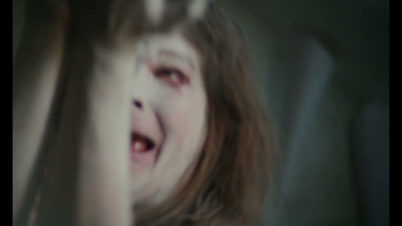 PIDARI - DZĪVE IR SKAISTA (mūzikas video)