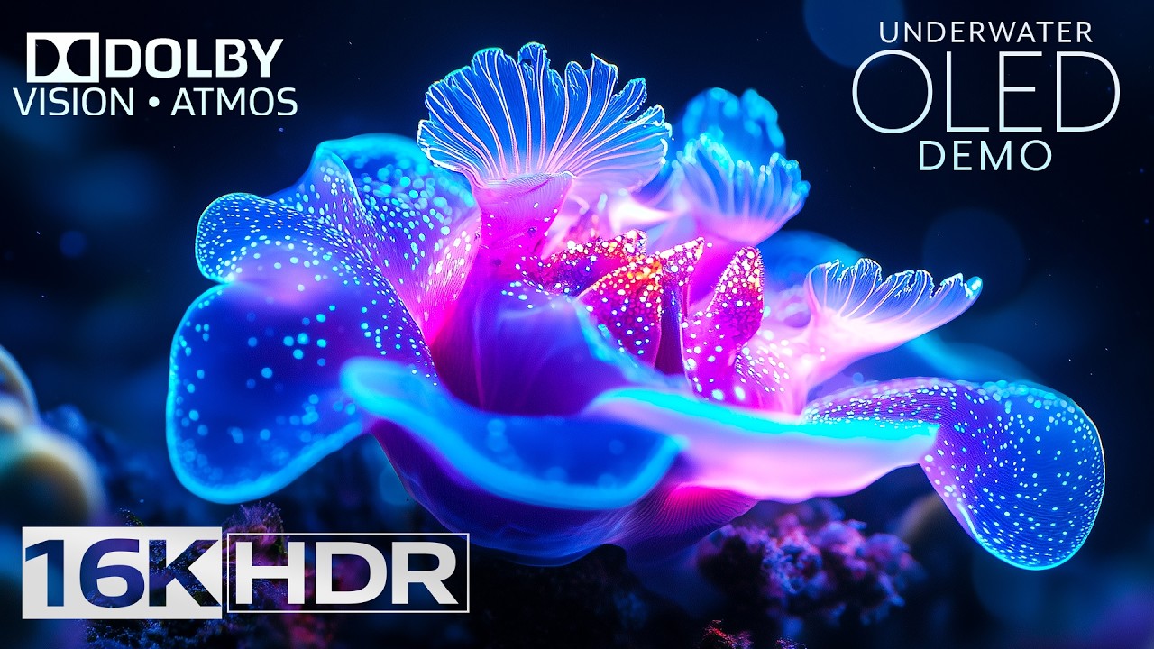 Best Vibrant 16K Video ULTRA HD - 16K HDR Dolby Vision  (4K/8K TV) | 8K Paradise